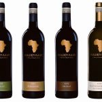 vinisudafrica