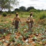 Women-farming