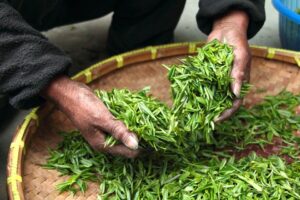 Farmhouse Hand Fresh Tea